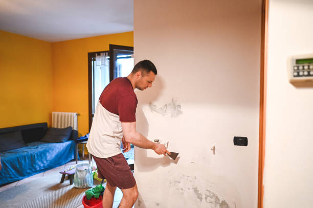 Best Crawl Space Mold Remediation in Carlisle, IA